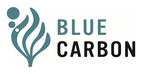 BLUE CARBON